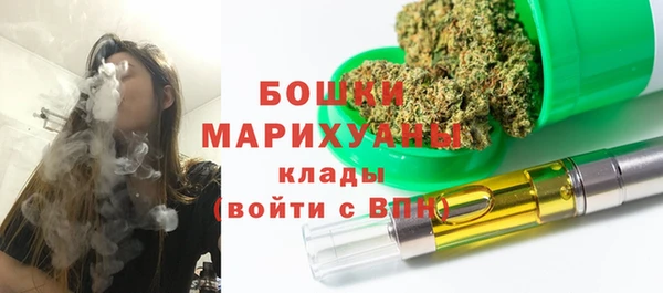 шишки Магас