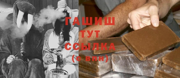 шишки Магас