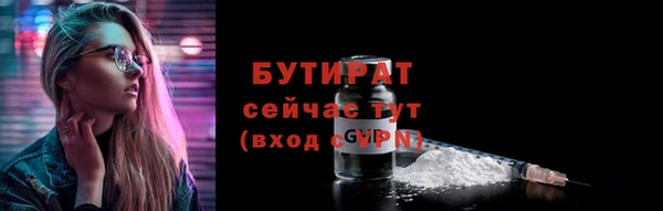 прущие грибы Гвардейск