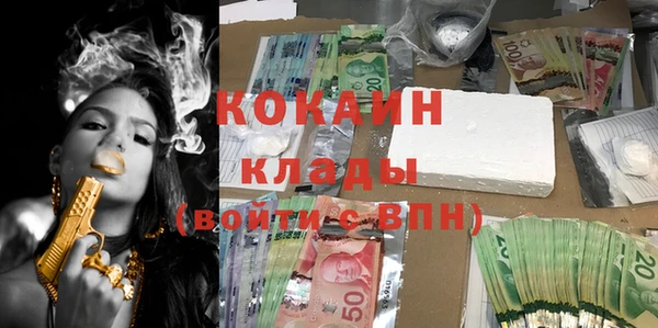 прущие грибы Гвардейск