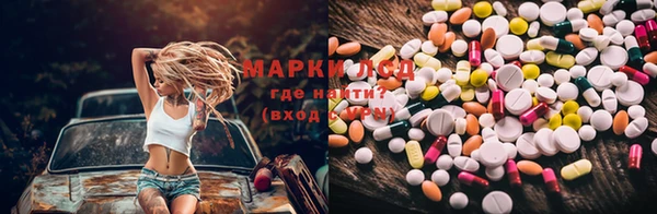 индика Покров