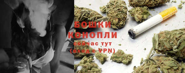 шишки Магас