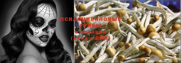 шишки Магас