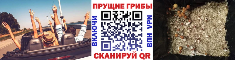kraken зеркало  Лосино-Петровский  Псилоцибиновые грибы мухоморы 